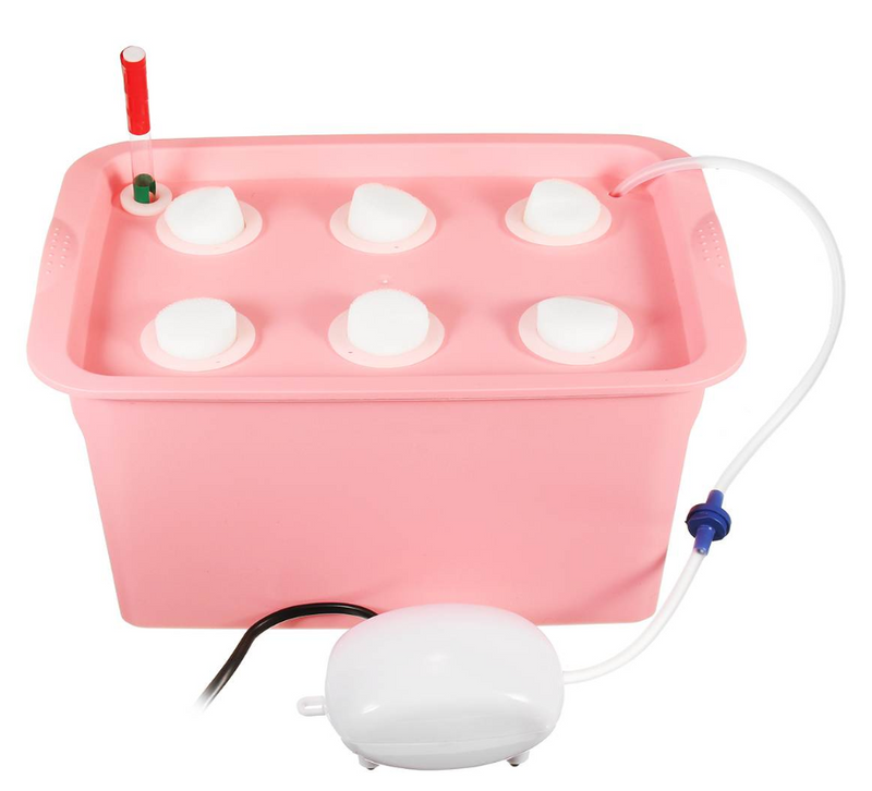 Vegetable water culture box Mostore.com
