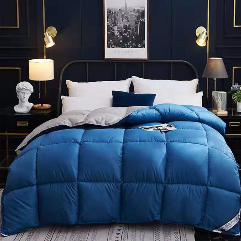 Down Duvet, Winter Duvet, Goose Down Duvet Core, Air Conditioner Mostore.com