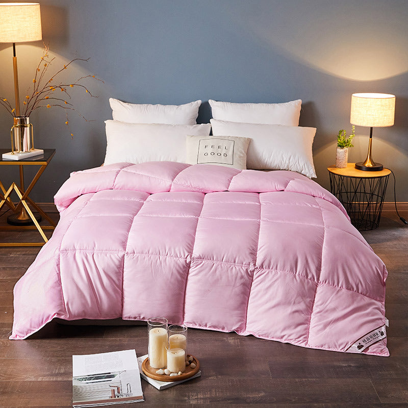 Down Duvet, Winter Duvet, Goose Down Duvet Core, Air Conditioner Mostore.com