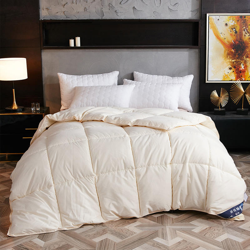 Down Duvet, Winter Duvet, Goose Down Duvet Core, Air Conditioner Mostore.com