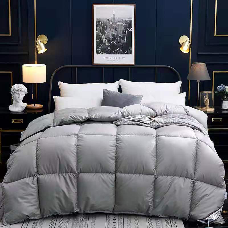 Down Duvet, Winter Duvet, Goose Down Duvet Core, Air Conditioner Mostore.com