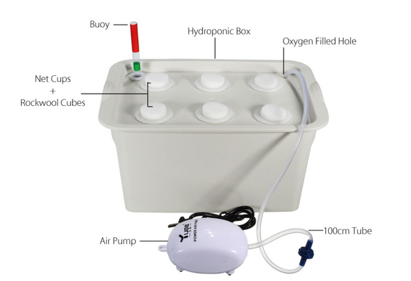 Vegetable water culture box Mostore.com