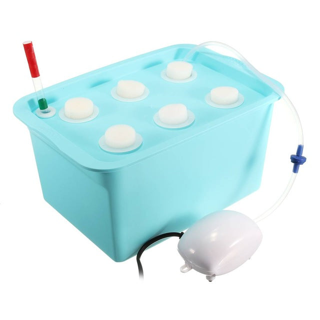 Vegetable water culture box Mostore.com