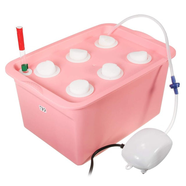 Vegetable water culture box Mostore.com