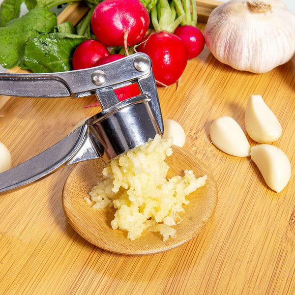Garlic Press Crusher Mincer Chopper Peeler Squeeze Cutter Stainless Steel Ginger Mostore.com
