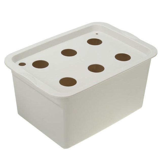 Vegetable water culture box Mostore.com