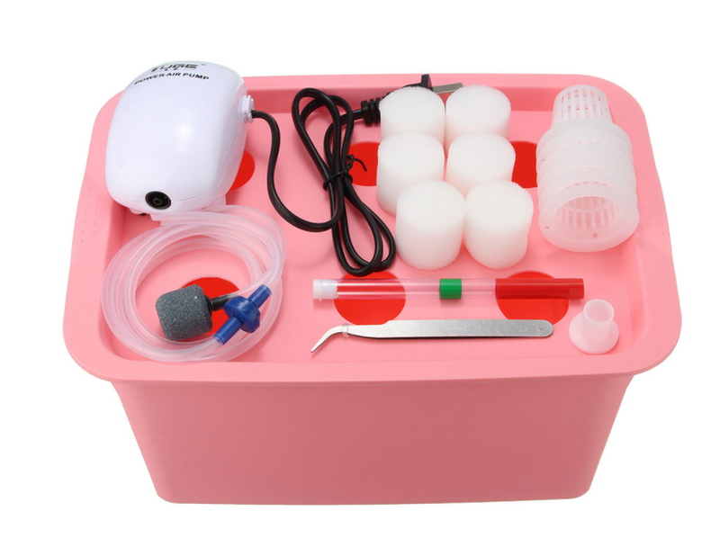 Vegetable water culture box Mostore.com