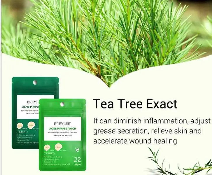 Tea Tree Acne Patch Fades Acne Marks and Ultra-thin Mostore.com