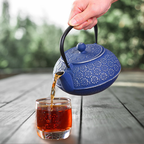3.5Lbs  34oz Tea Kettle, Japanese -style Cast Iron Teapot With 304 Stainless Steel Infuser For Loose Leaf Tea Mostore.com