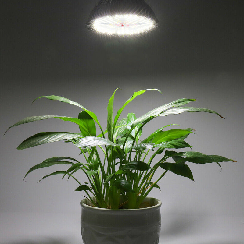 120W LED Grow Light Lamp E27 Grow Lamp Full Spectrum White Hydroponic Plants Veg American Varieties